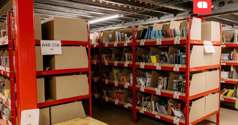 Megogo Books планирует выйти на рынок B2B в США. Компания уже начала доставку в 15 европейских странах