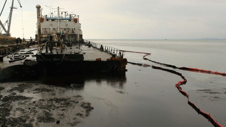 Влияние войны на Черное море: говорит София Садогурска Украинской академии наук