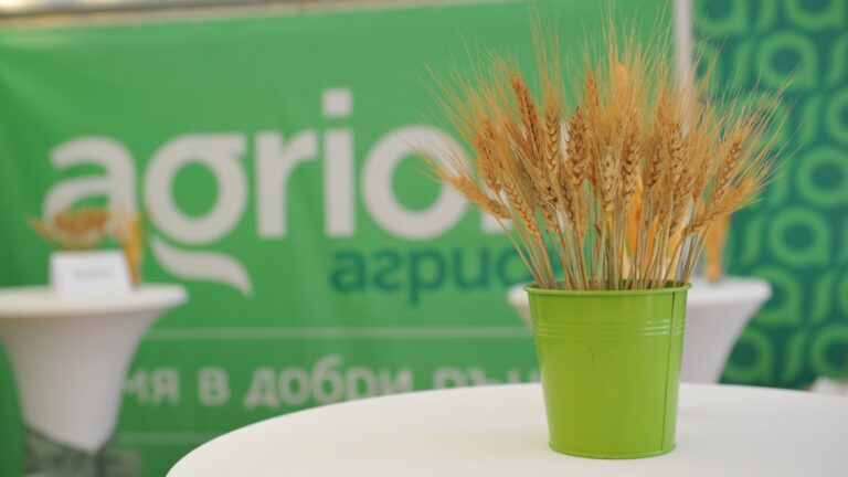 «Агрион»: прозрачность и доверие к переходу к евро