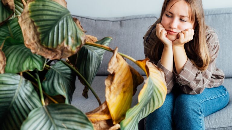 Как оживить завязли