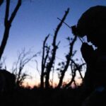 2000 метров до Андревки подняли почти 2 миллиона атюр на первые дни аренды