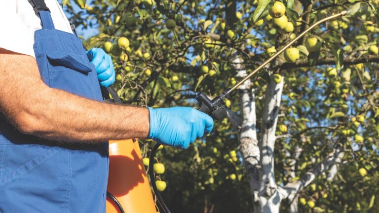 Опрыскайте этим сад и вы забудете о болезнях, а фруктовые деревья удивят вас своим цветением весной.
