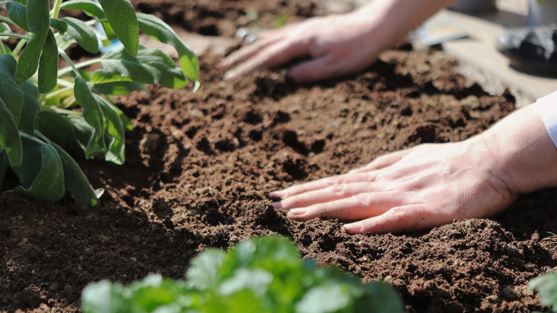Удобрения, которые НИКОГДА нельзя смешивать
