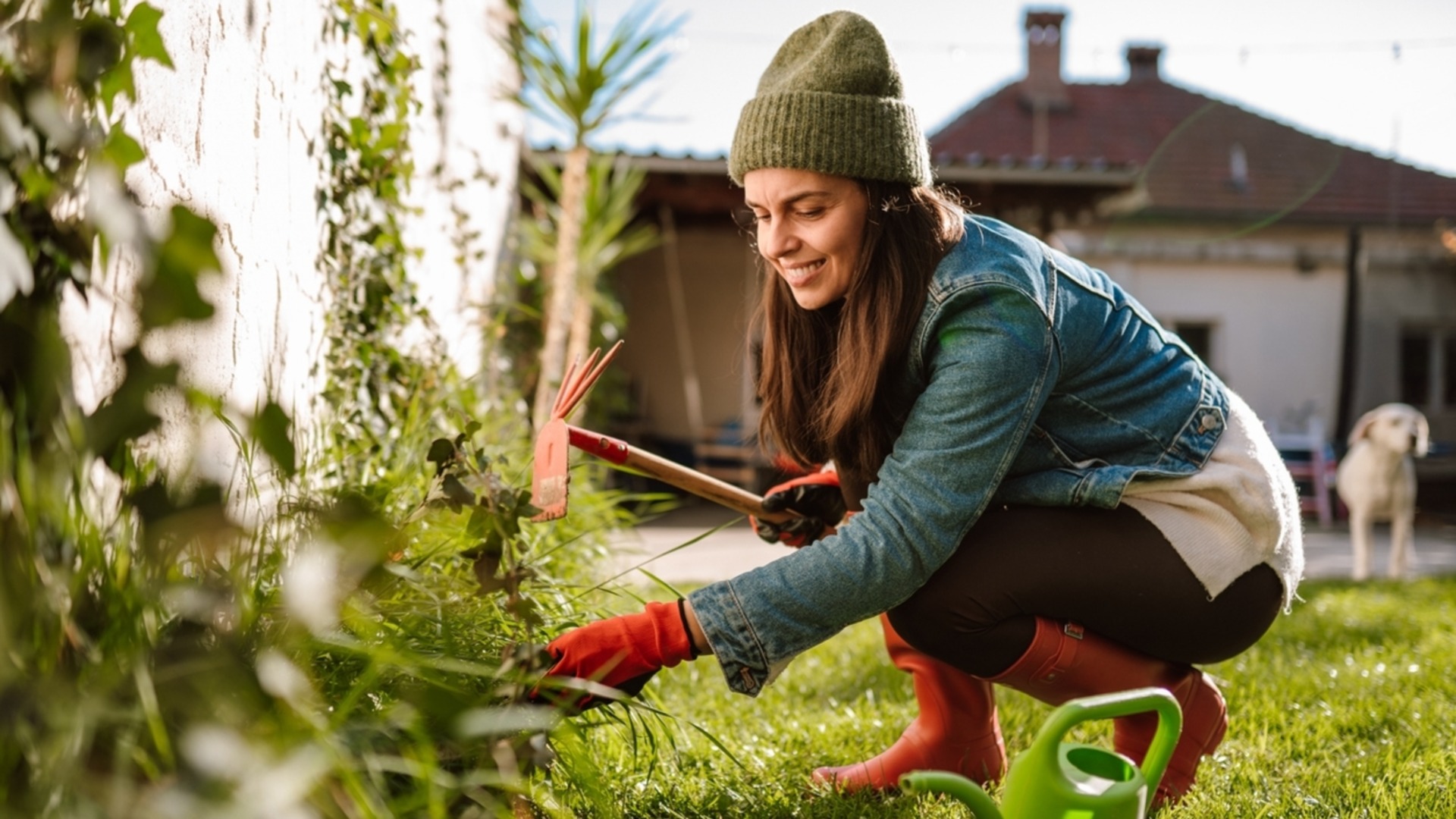 Стоит ли выкапывать мертвый урожай в конце сезона или подождать до весны?