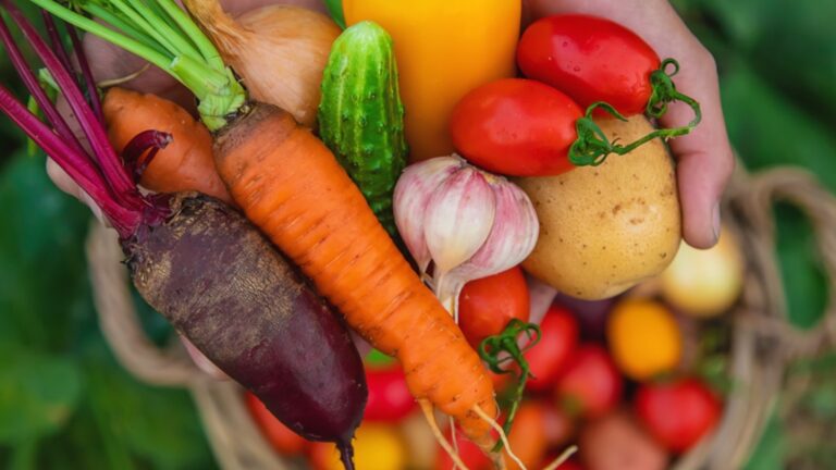 Сейчас последний шанс посадить эти любимые овощи