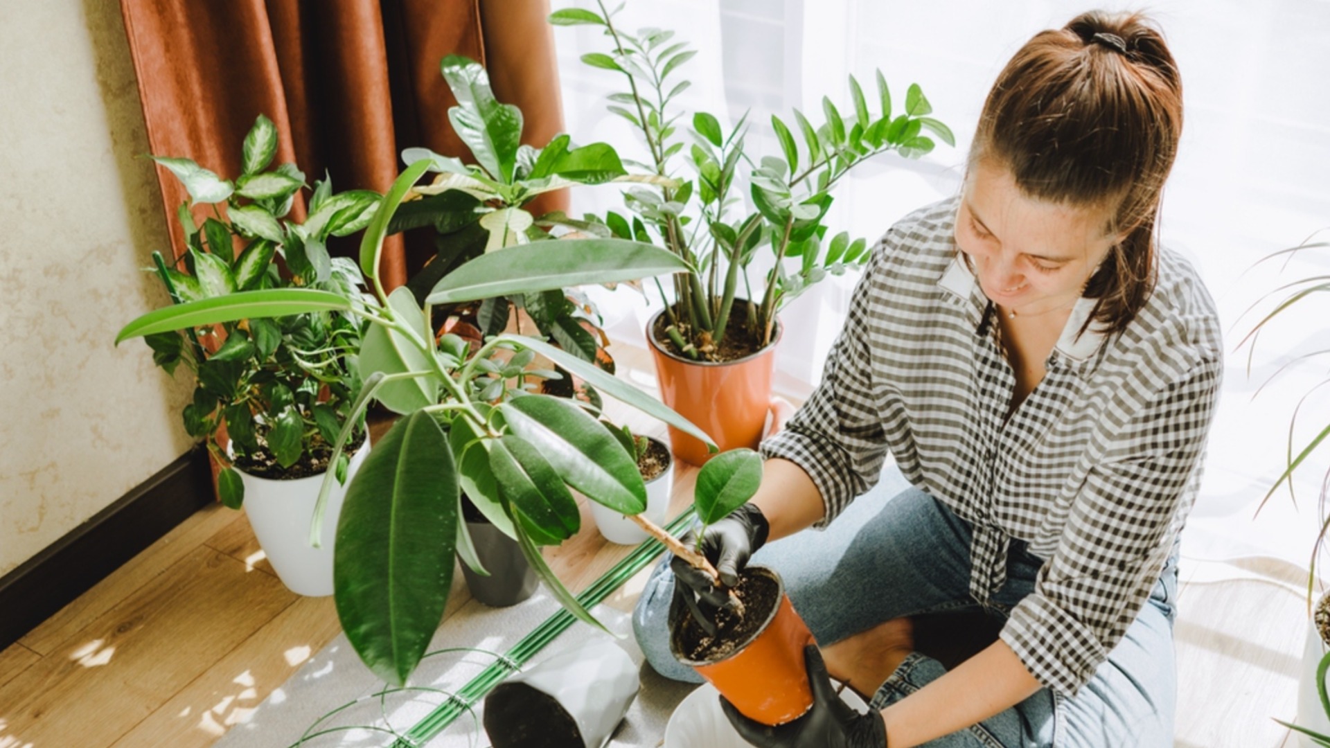 Сделайте это в октябре, чтобы комнатные растения были счастливы всю зиму.