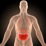 Один продукт, который укрепляет иммунную систему лучше, чем витамины