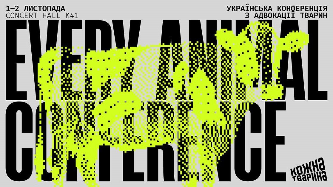 Куда поехать в ноябре – главные события месяца