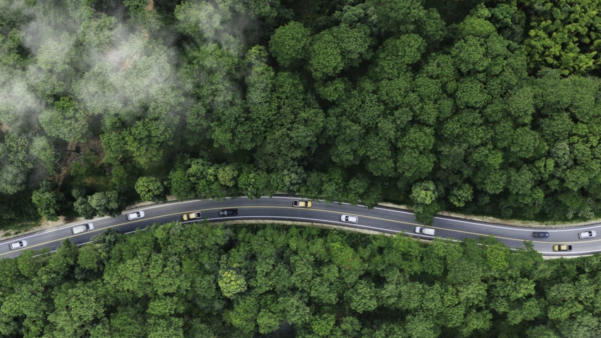 Бетон в будущем: Европа теряет огромные зеленые зоны