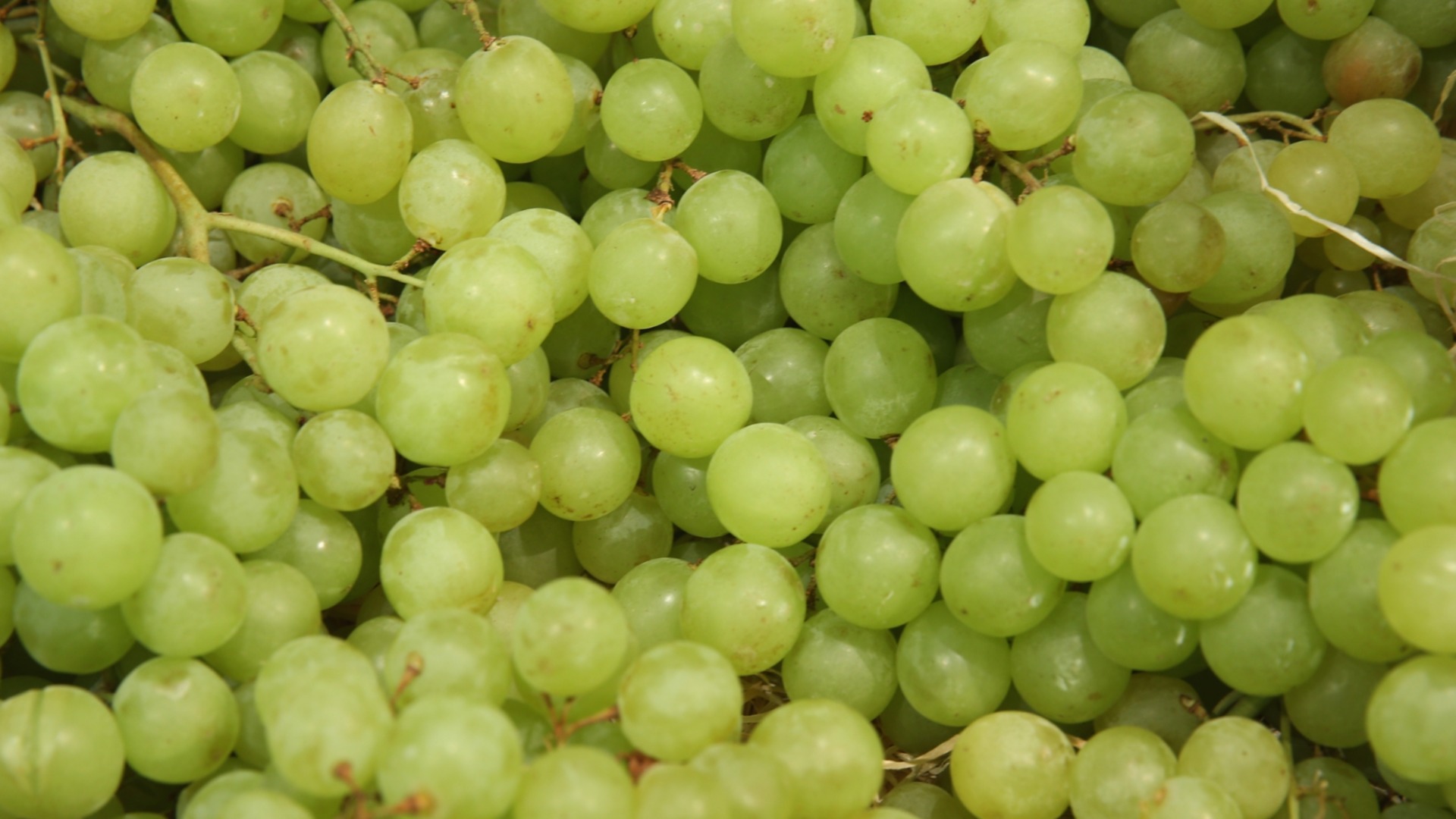 Как приготовить знаменитый белый варень