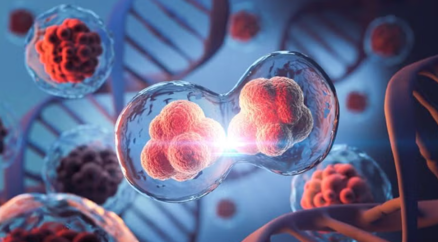 Takeda полностью отказывается от клеточной терапии