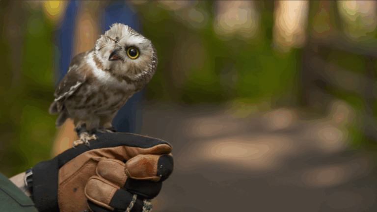 История, адреналин и природа для превосходной