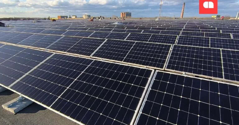 Зима близко. Помогут ли солнечные панели бизнесу зимой: спросили у Авроры, ЕВА и Варуса