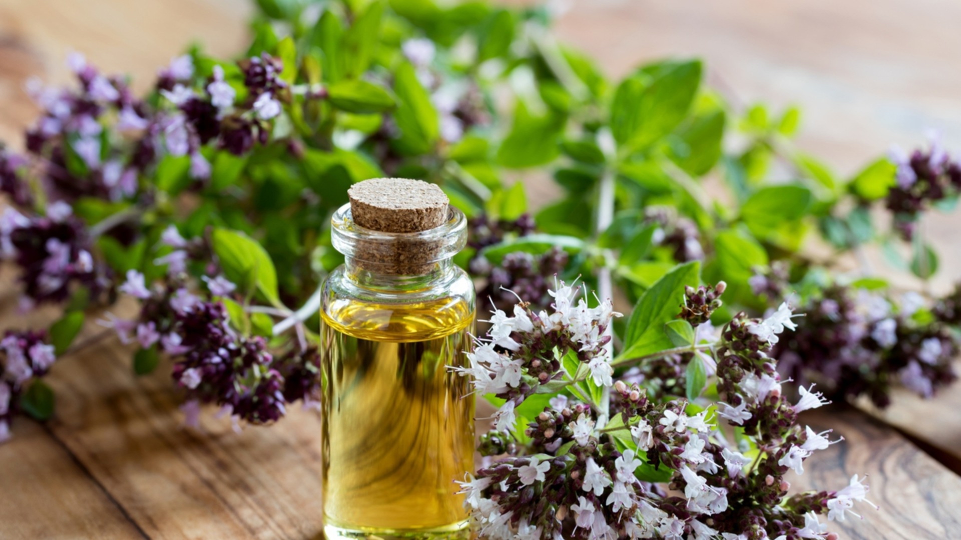 Эта простая специя может уменьшить воспаление и стресс — вот как