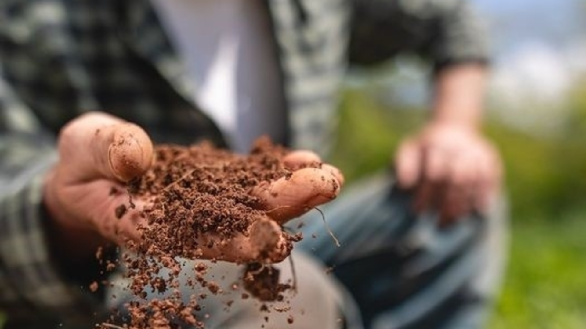 «Агрион» призывает владельцев не пропускать сроки продажи земли