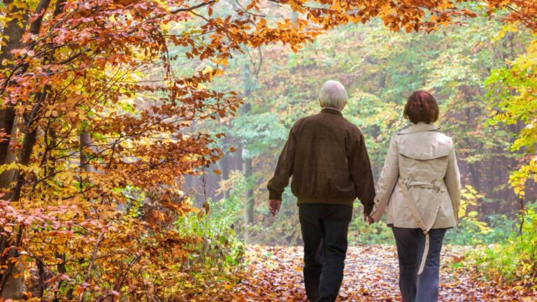 Стало понятно, какая средняя пенсия в Болгарии