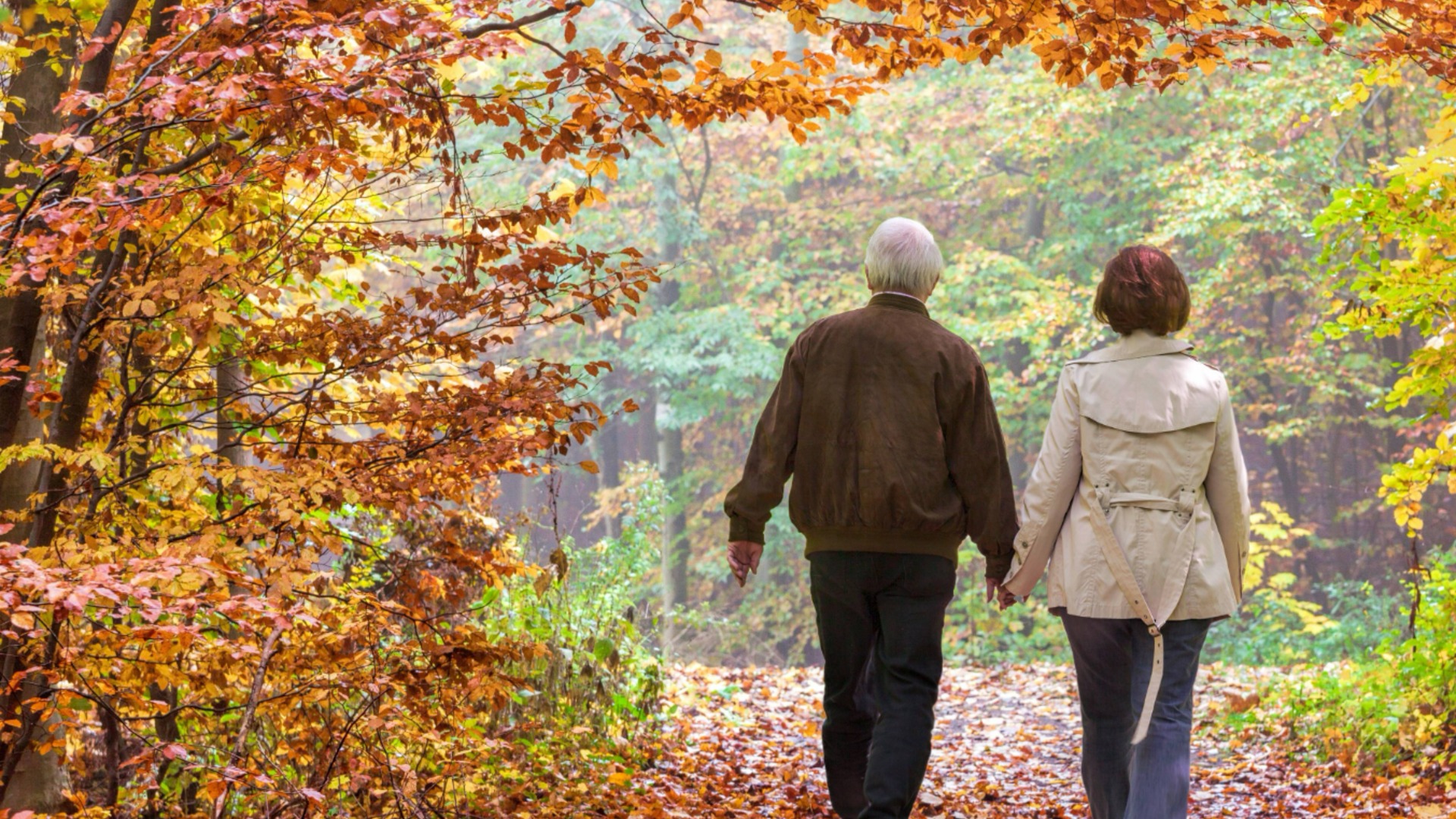 Стало понятно, какая средняя пенсия в Болгарии