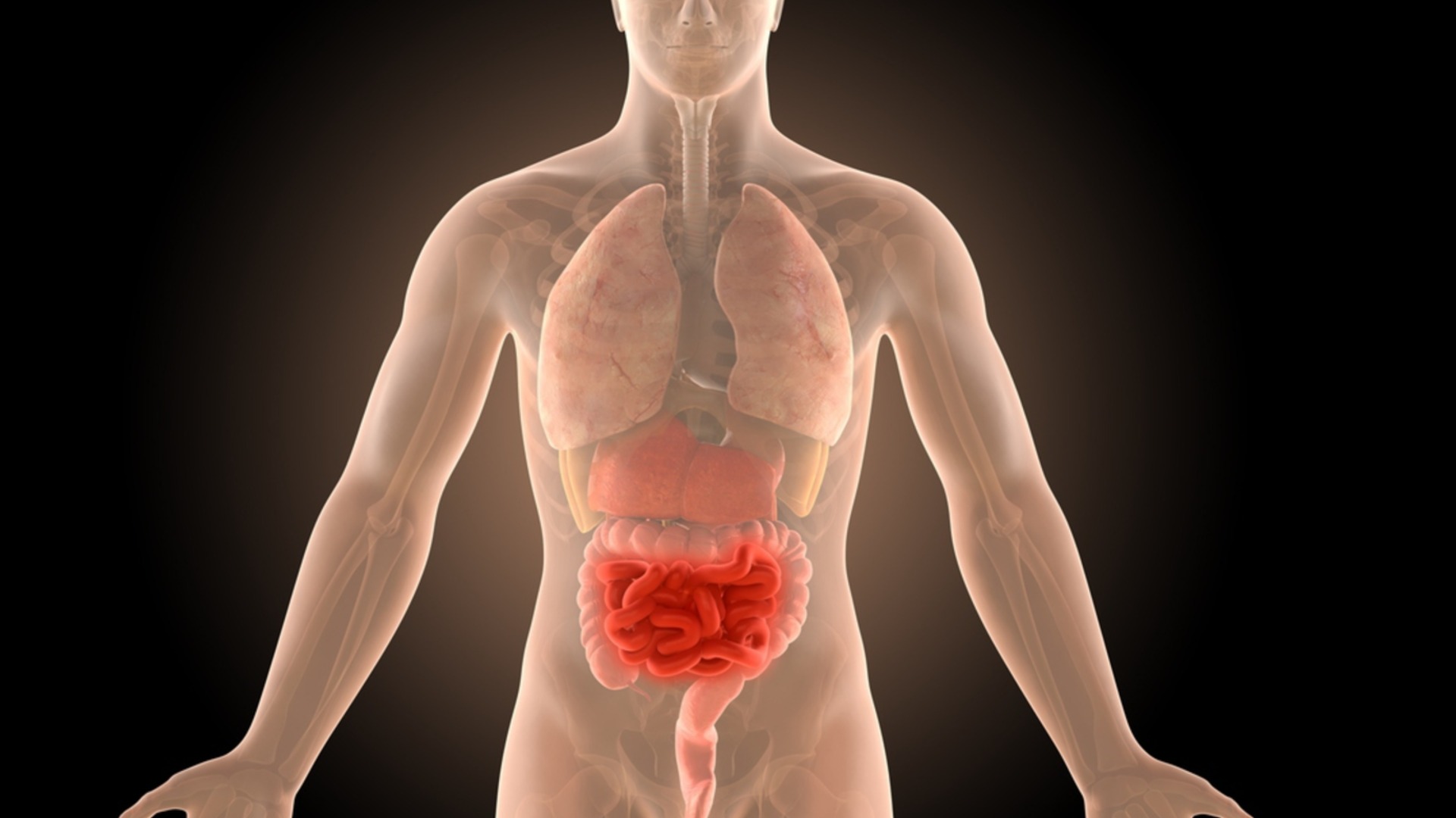 Гастроэнтеролог: Пью каждое утро, это самый полезный напиток