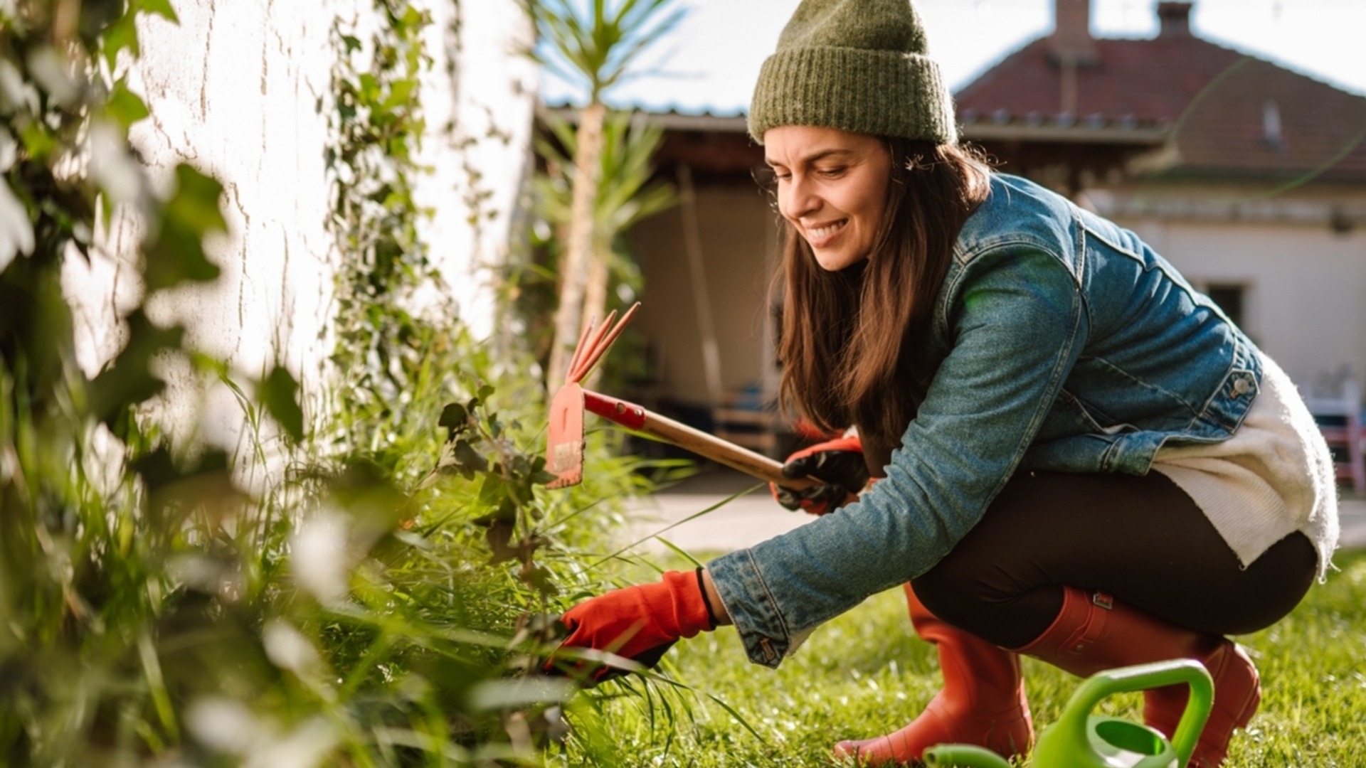 Не пропустите эти 3 работы в саду до первых заморозков