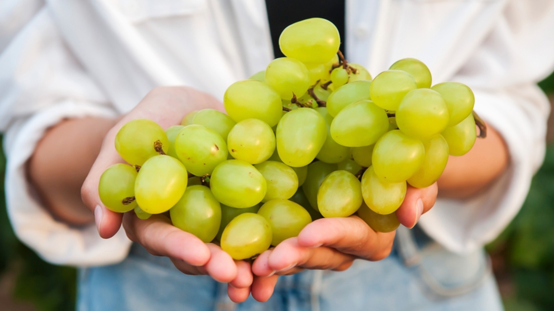 Жили-были: Помните, как варили виноградное варенье в духовке?