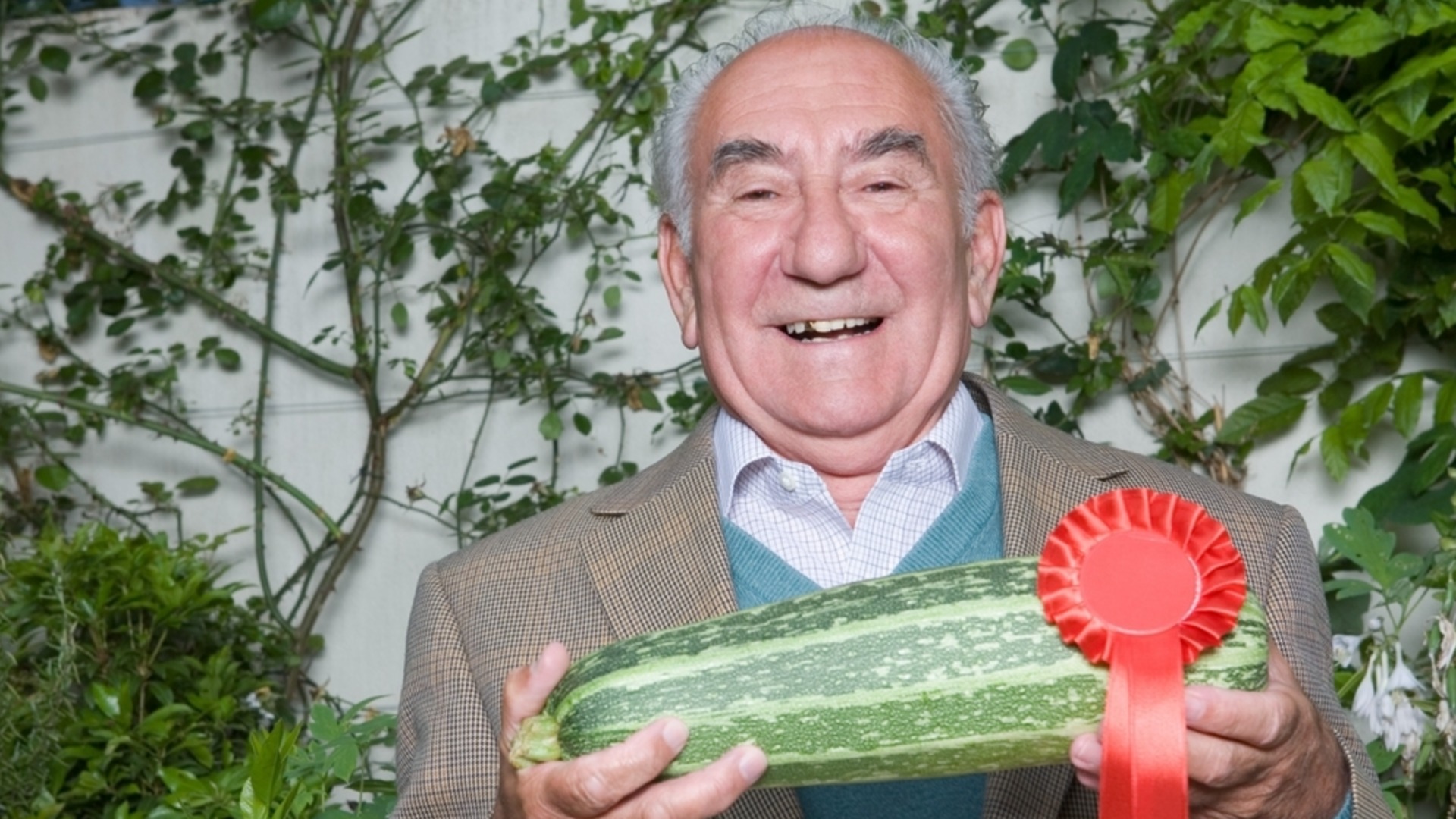 Как вырастить очень крупные овощи на своем огороде