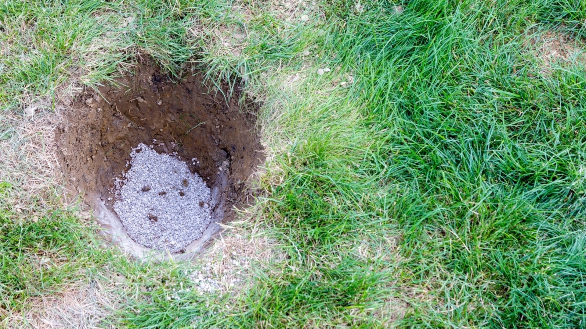 Как подкормить свой сад гипсом для обильного урожая