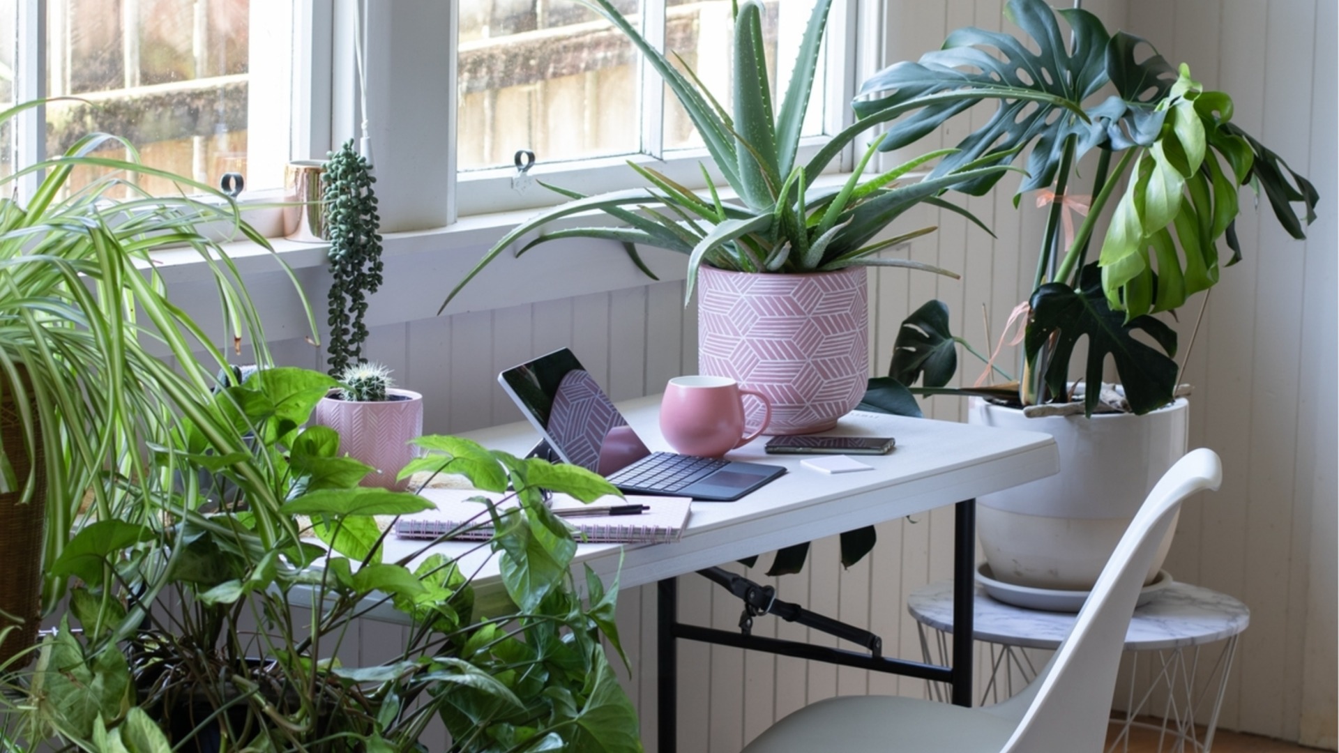 Как часто поливать комнатные растения осенью?