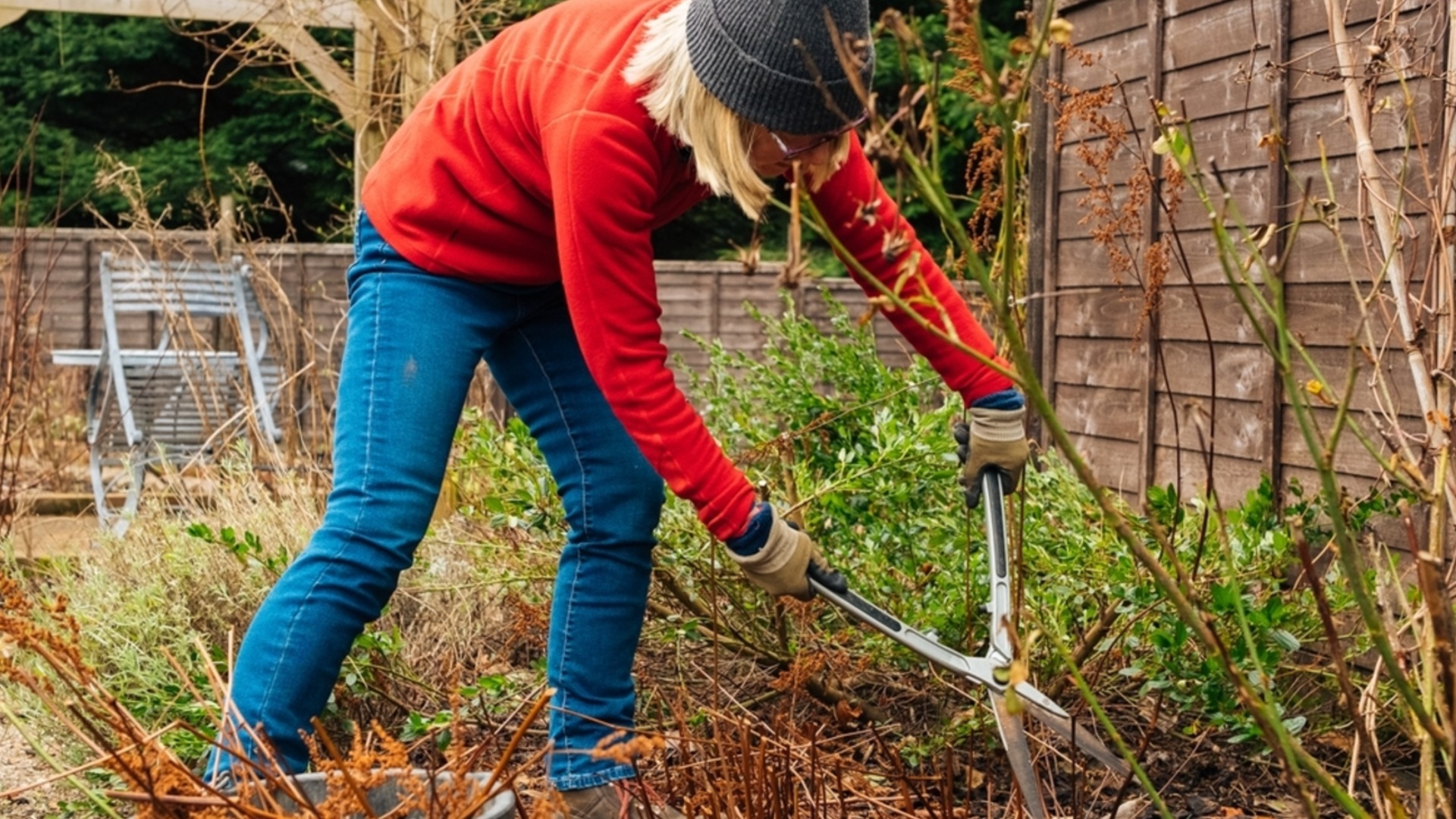 Эти ошибки в осеннем саду вредны: НЕ совершайте их