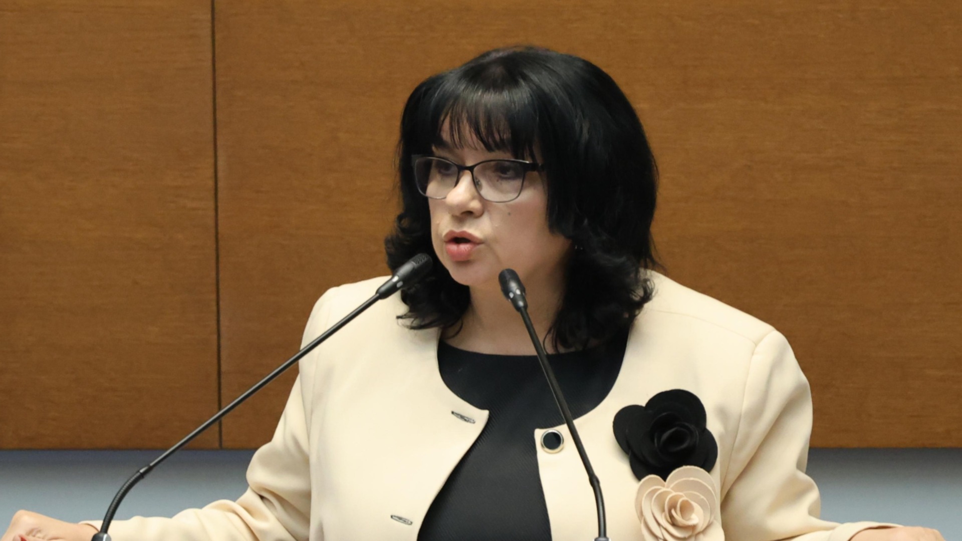 «Устойчивость государственных финансов»: Теменузка Петкова защитила первый бюджет в евро