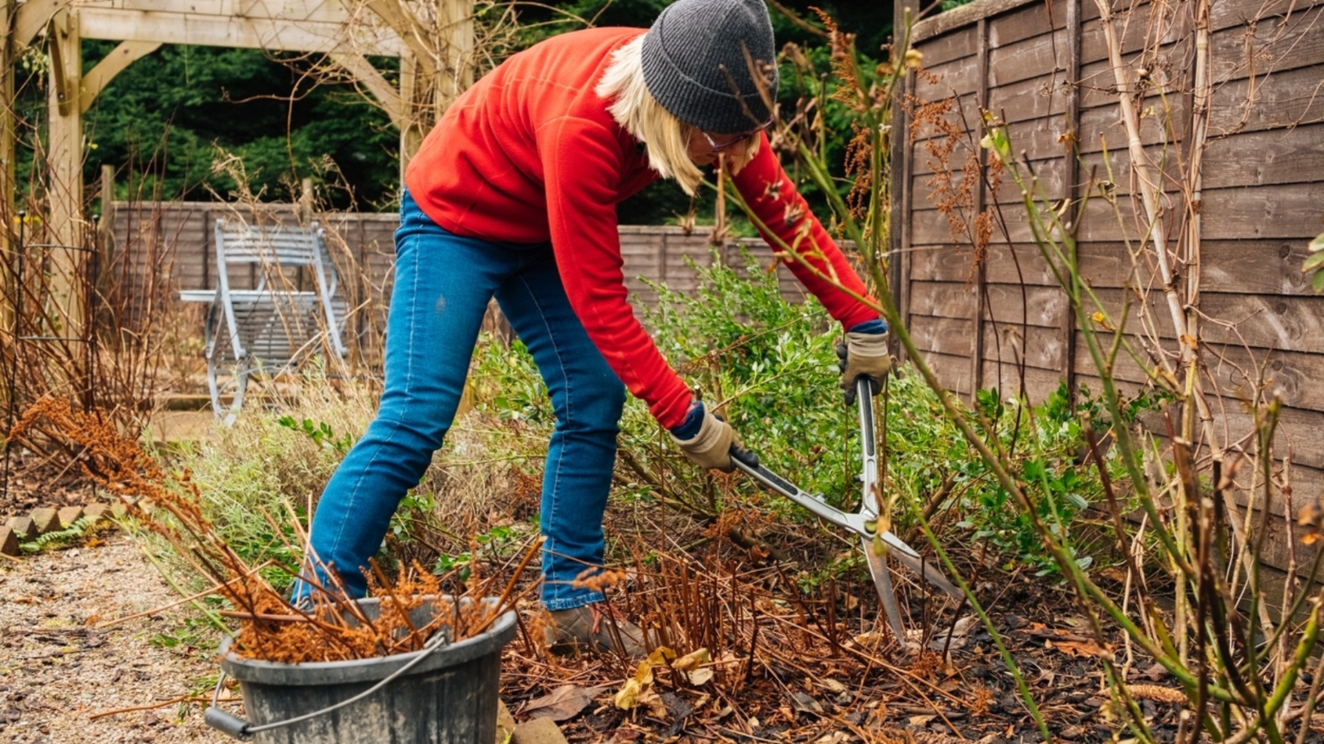 Однолетние растения, которые следует подготовить к зиме как можно скорее