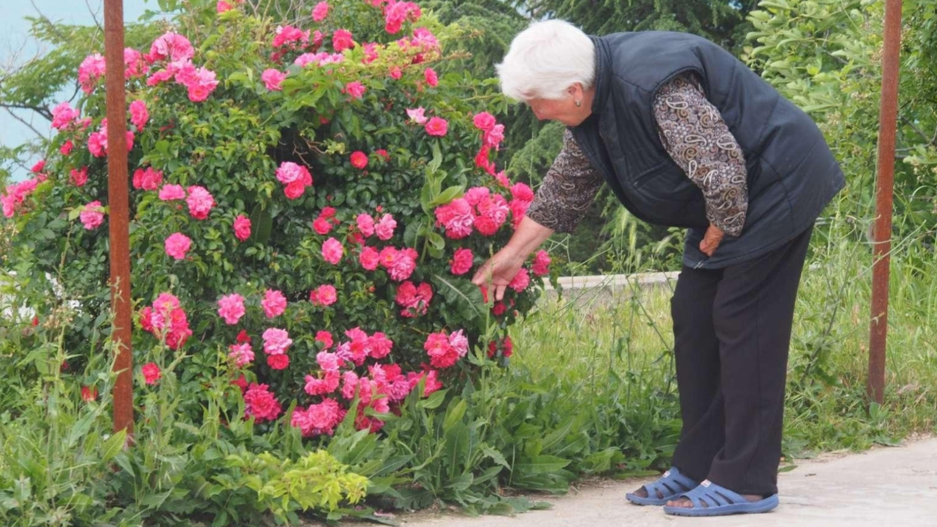 Как бороться со старым запахом, появляющимся после определенного возраста?