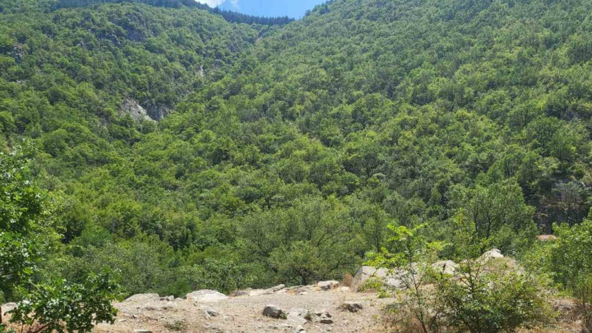 ЕК одобрила финансирование трех экологических проектов в Болгарии