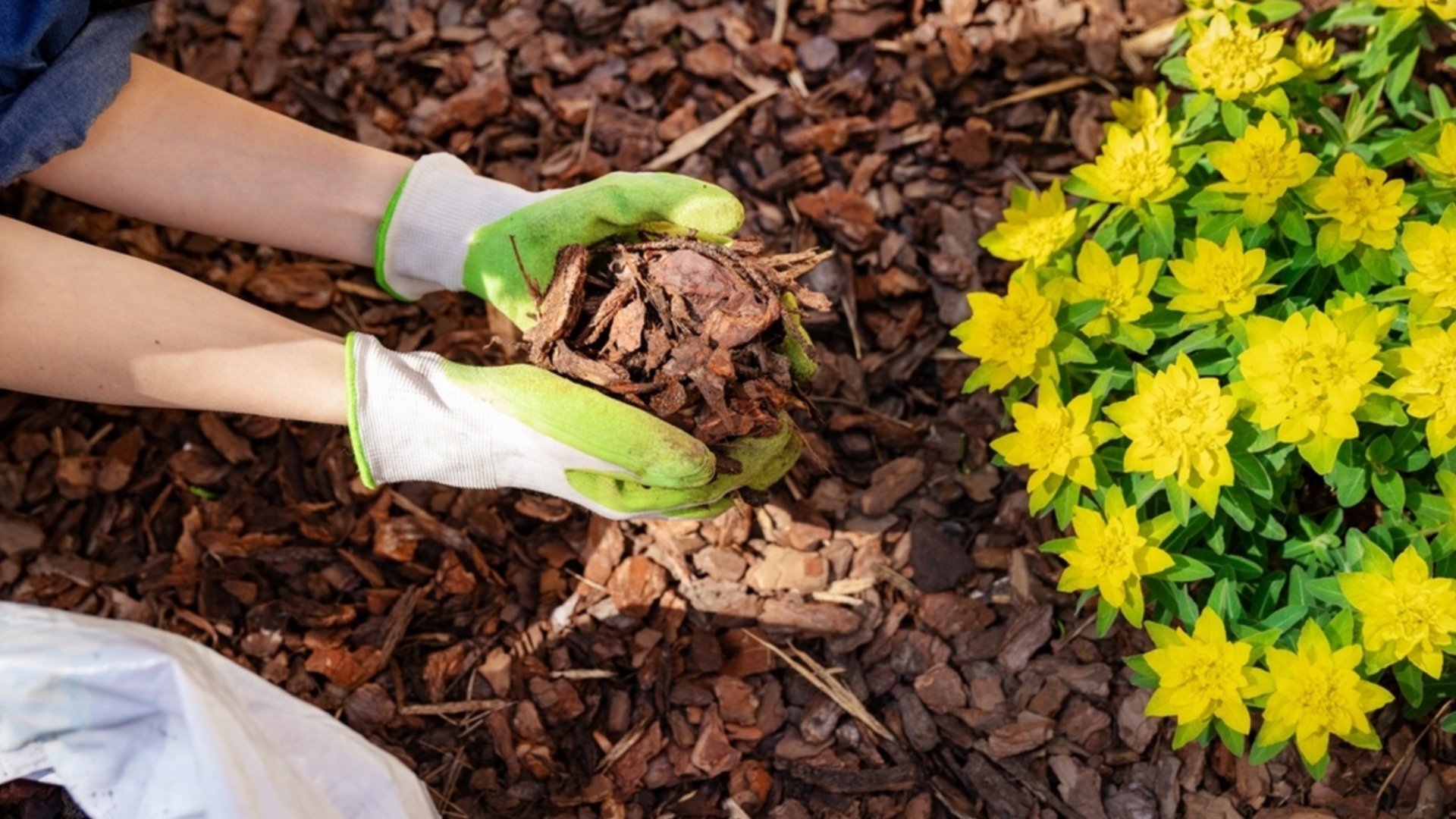 Мульчирование осенью: Как сделать правильно?