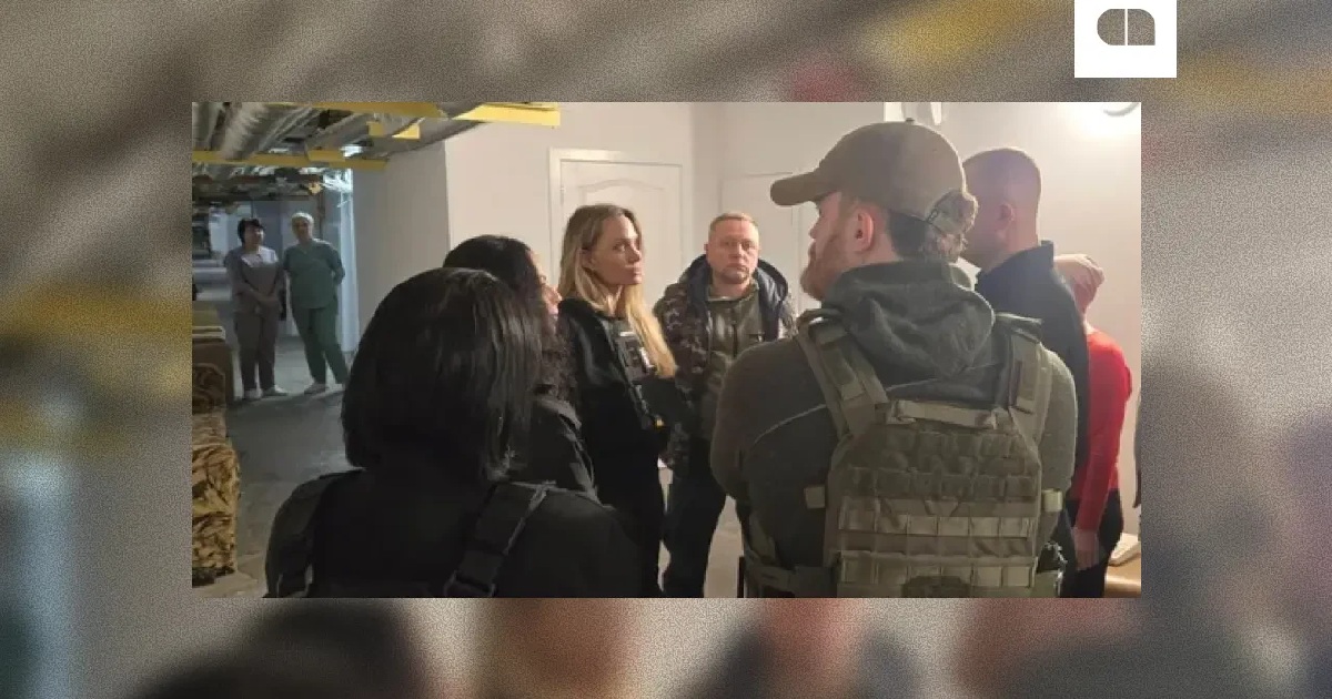 Анджелина Джоли в Херсоне и Николаеве. Как был организован визит киноактрисы?