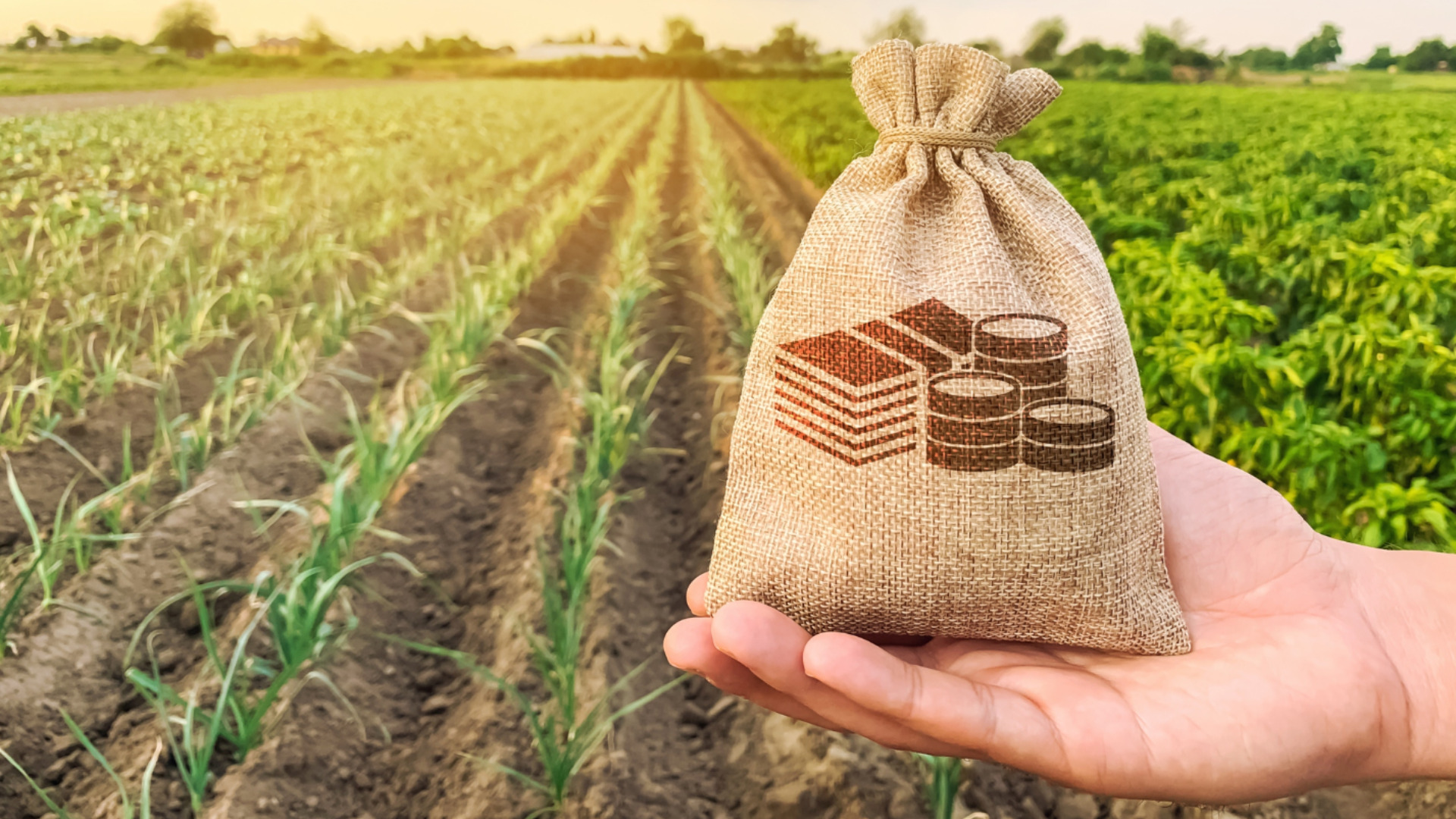 Арендные потери ждут собственников земли и по договорам аренды, и по закону: Опасения отраслевой организации