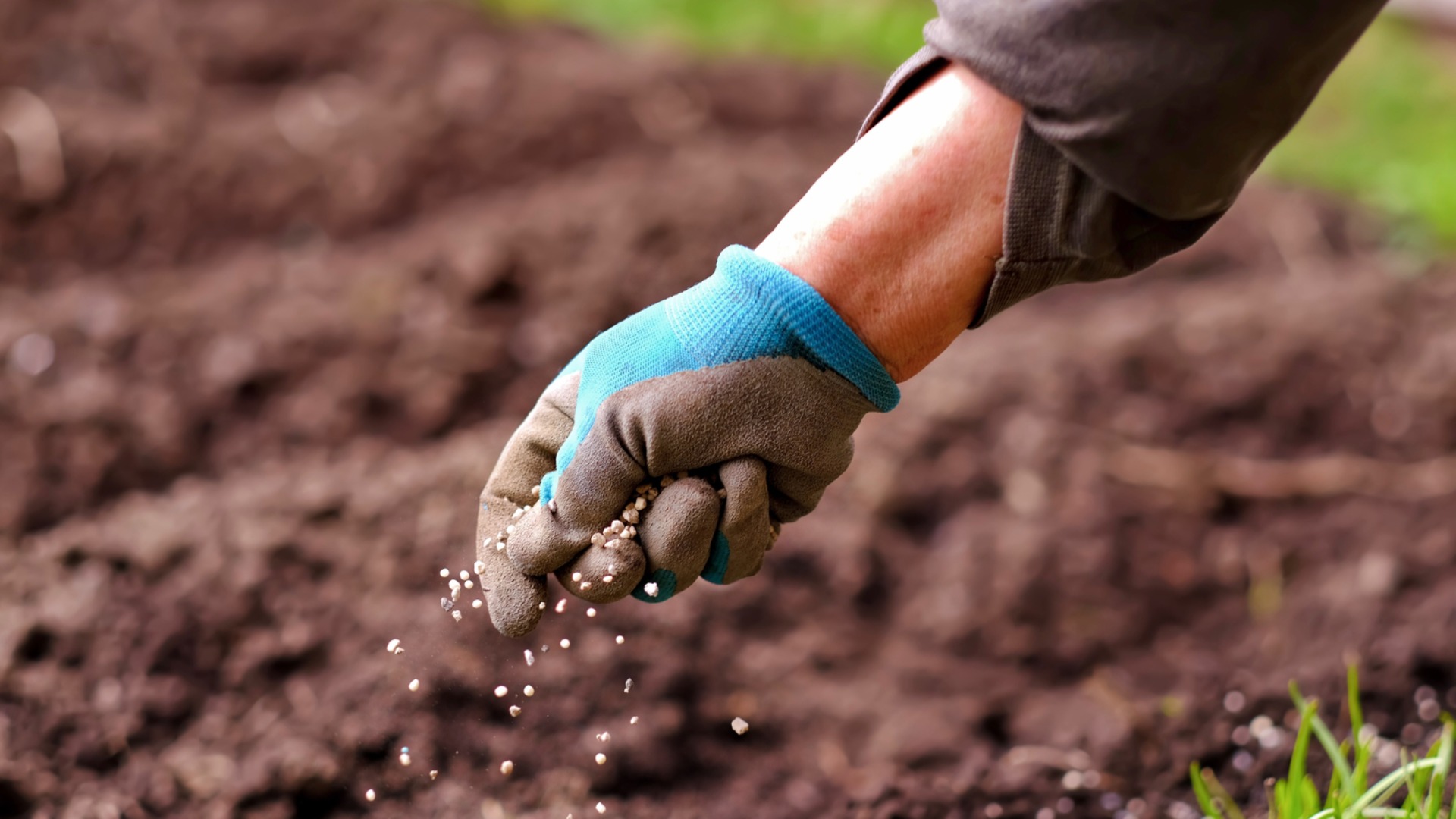 Именно в этот момент вам действительно следует прекратить удобрять свой сад.
