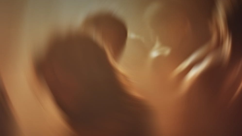 Куда поехать в ноябре – главные события месяца