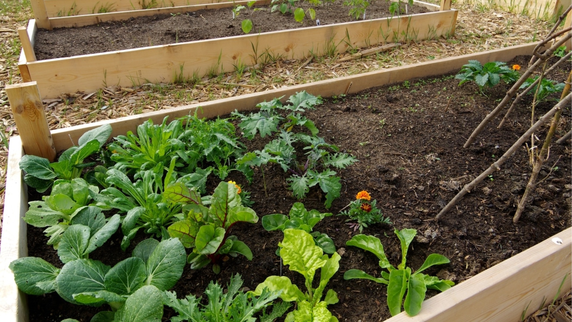 Что делать с землей с приподнятых грядок зимой