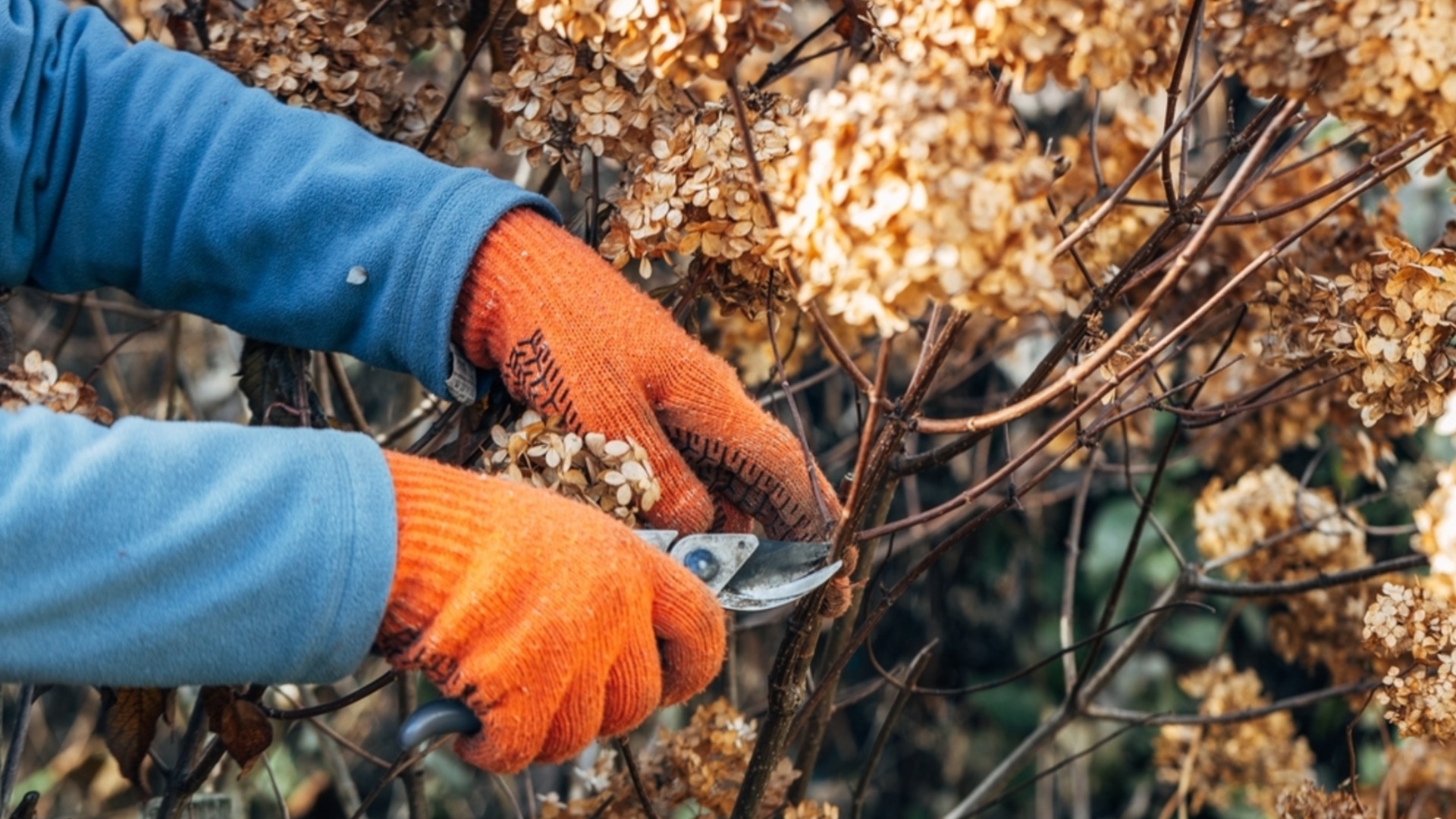 Техника обрезки, которая не дает растению расти