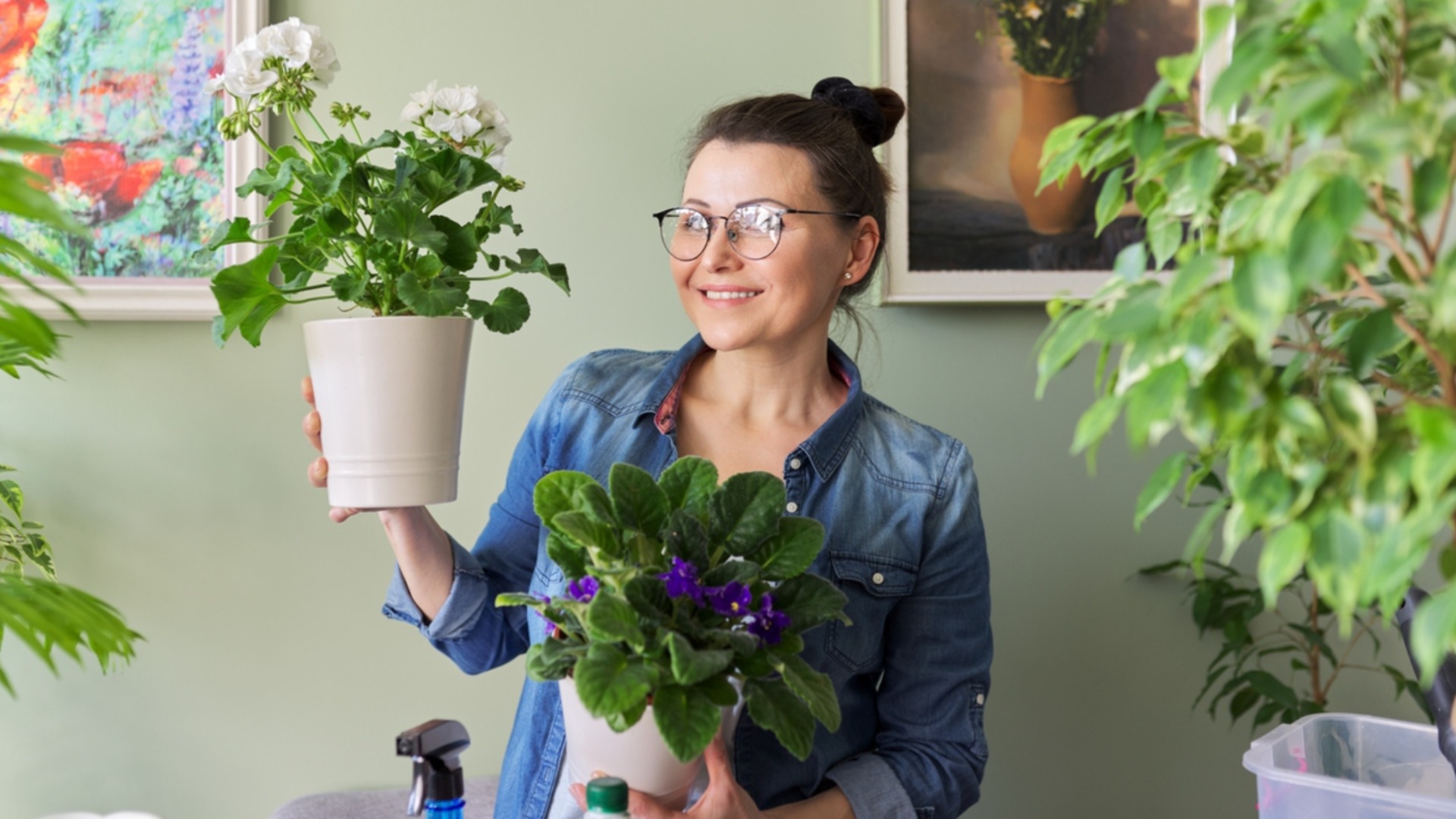 Как заставить комнатные растения цвести зимой