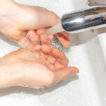 Как защититься от эхинококкоза: простые правила ежедневной гигиены