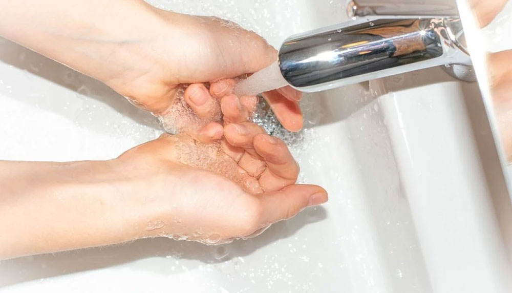 Как защититься от эхинококкоза: простые правила ежедневной гигиены