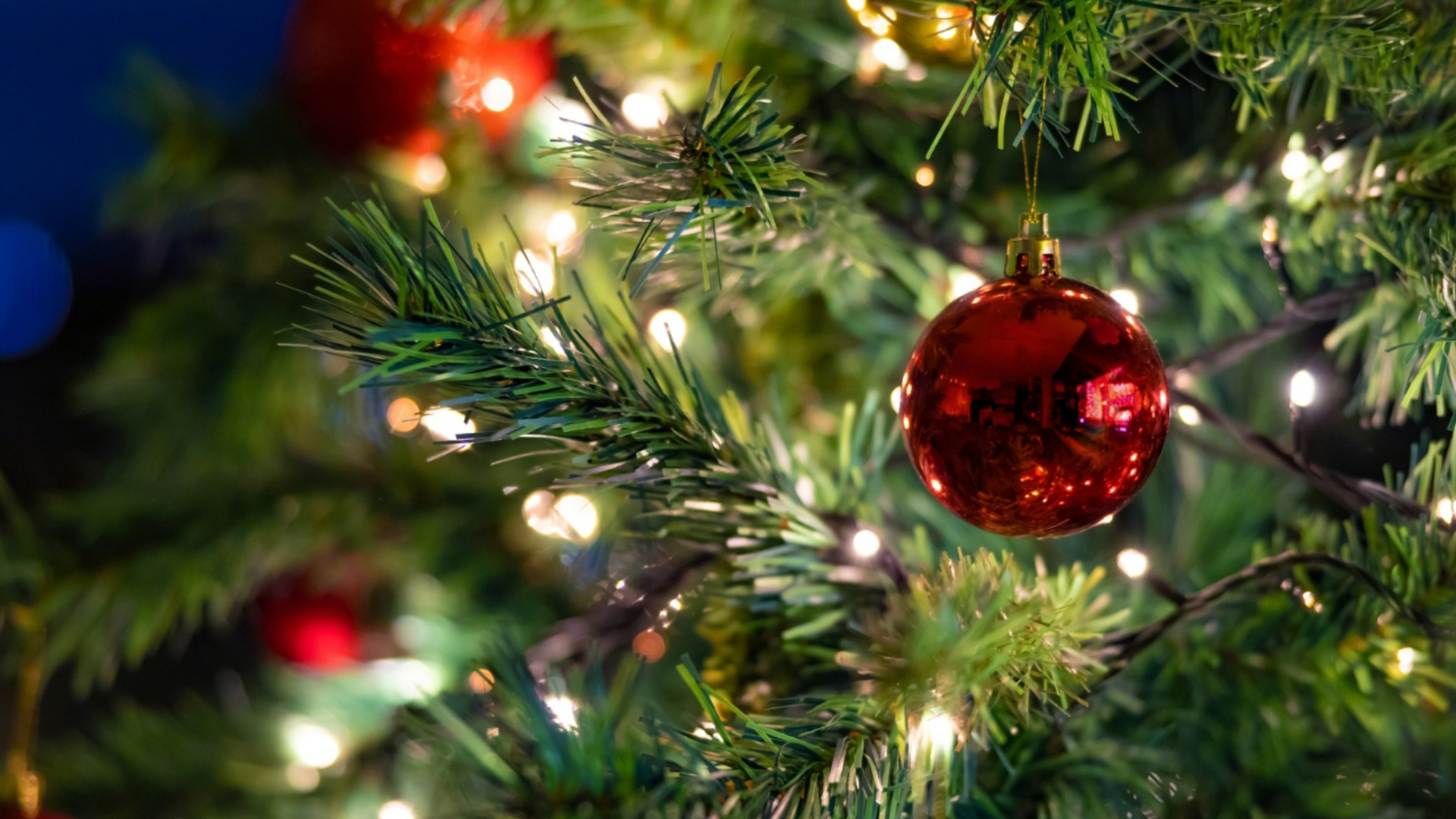 Столько болгары тратят на елку