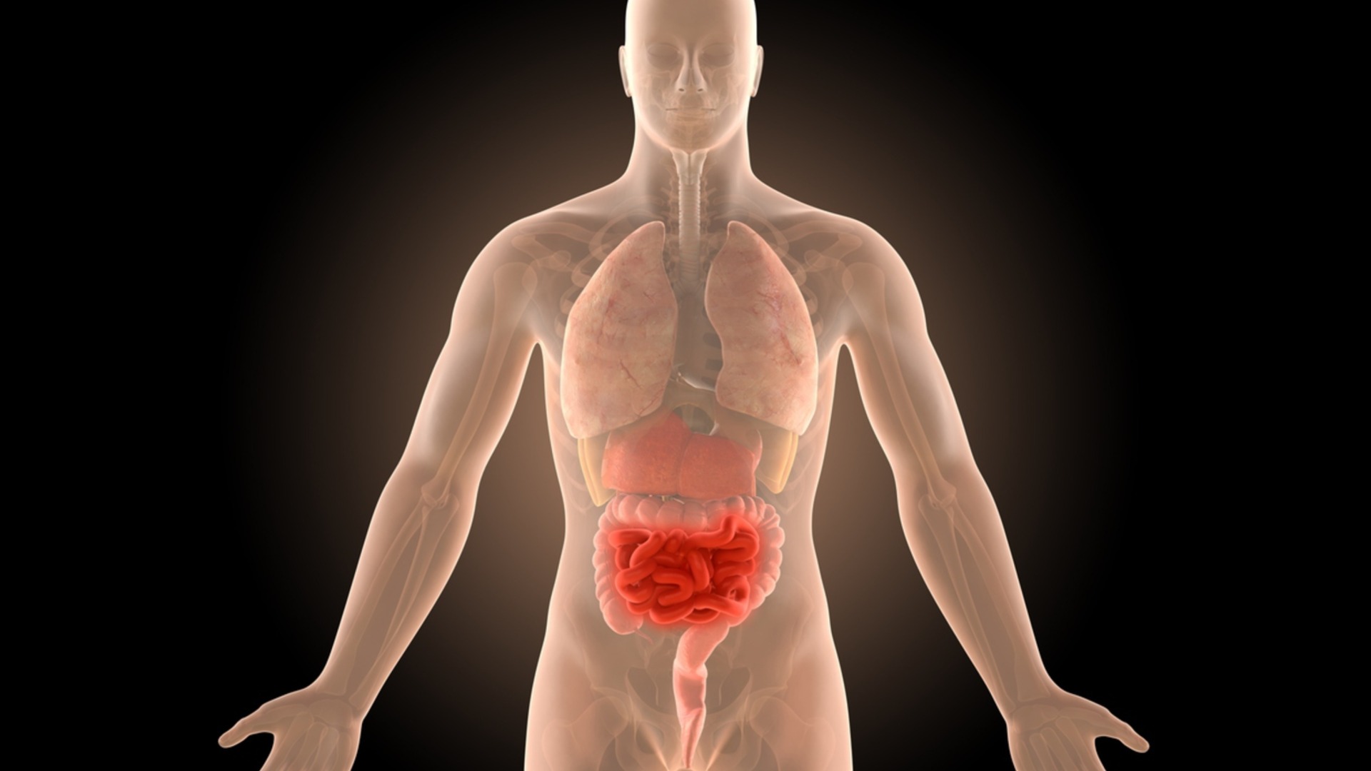 Одна порция ЭТОГО в день навсегда изменит здоровье вашего кишечника.