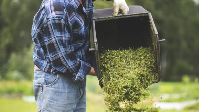 Как превратить старый мусорный бак в контейнер для компоста