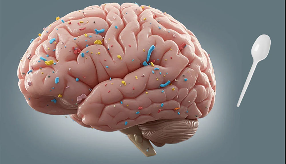 Микропластик может повредить мозг: ученые назвали пять ключевых механизмов