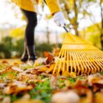 Сделайте это с травой, пока не ударили морозы.