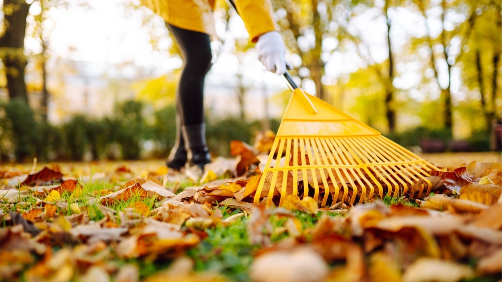 Сделайте это с травой, пока не ударили морозы.