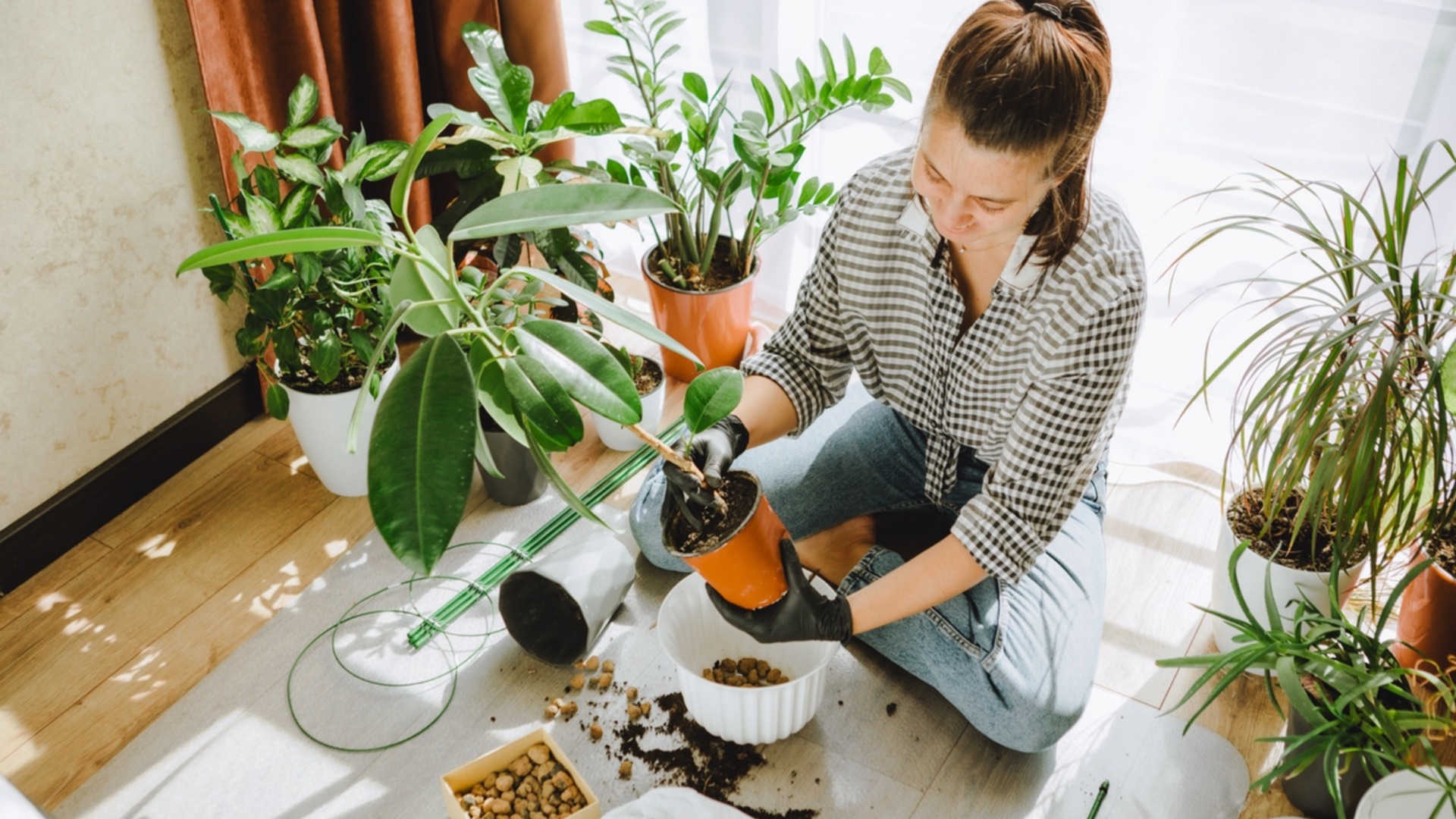 Как превратить старую почву в настоящее золото для весенней посадки