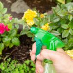 Как избавиться от садовых вредителей с помощью масла